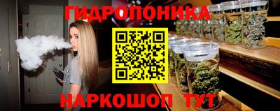 сатива Новодвинск