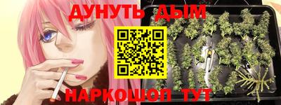первитин Новозыбков