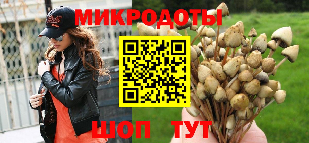 Псилоцибиновые грибы Psilocybine cubensis Спасск-Дальний